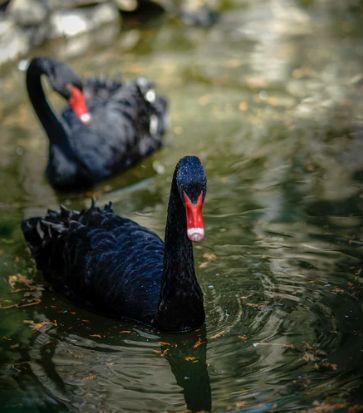被評為“上海名牌”產品,這家企業究竟為民族閥門工業盡了多少力量?- 被評為“上海名牌”產品,這家企業究竟為民族閥門工業盡了多少力量?-
