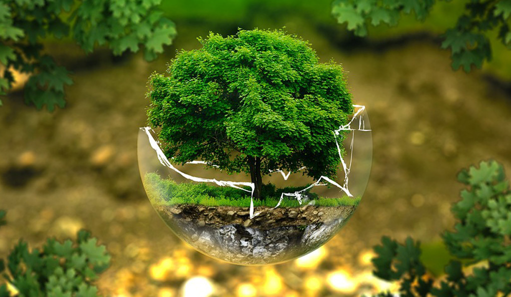 中國水環(huán)境集團：綠色低碳技術驅動水務價值重構